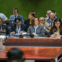 14 October 2019 Prof. Dr Snezana Bogosavljevic Boskovic, member of the National Assembly delegation to IPU, at the IPU Standing Committee on Sustainable Development, Finance and Trade